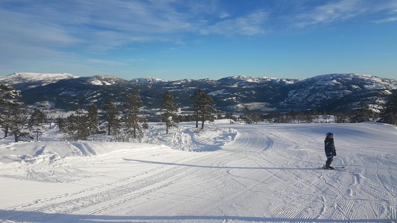 فيلا Vradal Panorama - Tiurasvegen 39 المظهر الخارجي الصورة