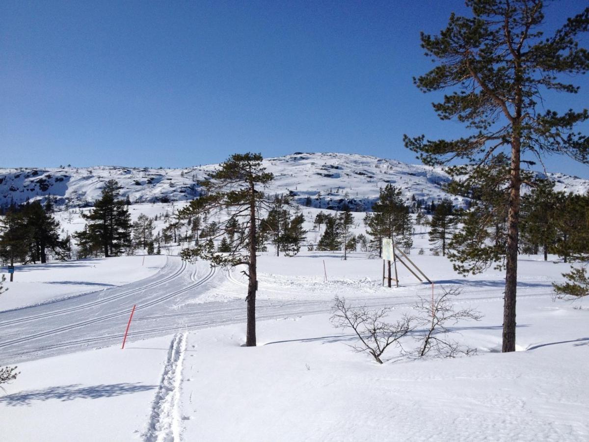 فيلا Vradal Panorama - Tiurasvegen 39 المظهر الخارجي الصورة